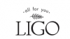 Компания "Ligo"