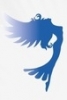 Компания "Студия преображения синяя птица"