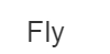 Компания "Fly"