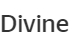 Компания "Divine"