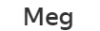 Компания "Meg"