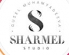 Компания "Sharmel studio"