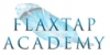 Компания "Flaxtap academy"